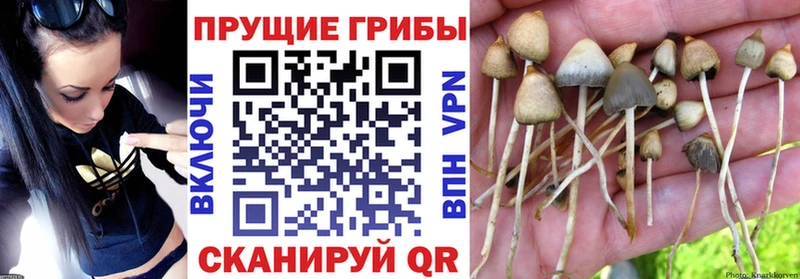 Галлюциногенные грибы ЛСД  Ардон 